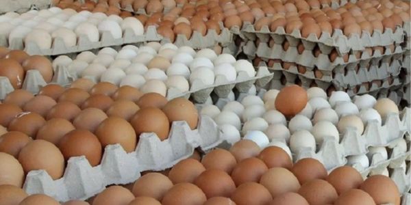 Eggs: A Wonderful Source of Nutrition