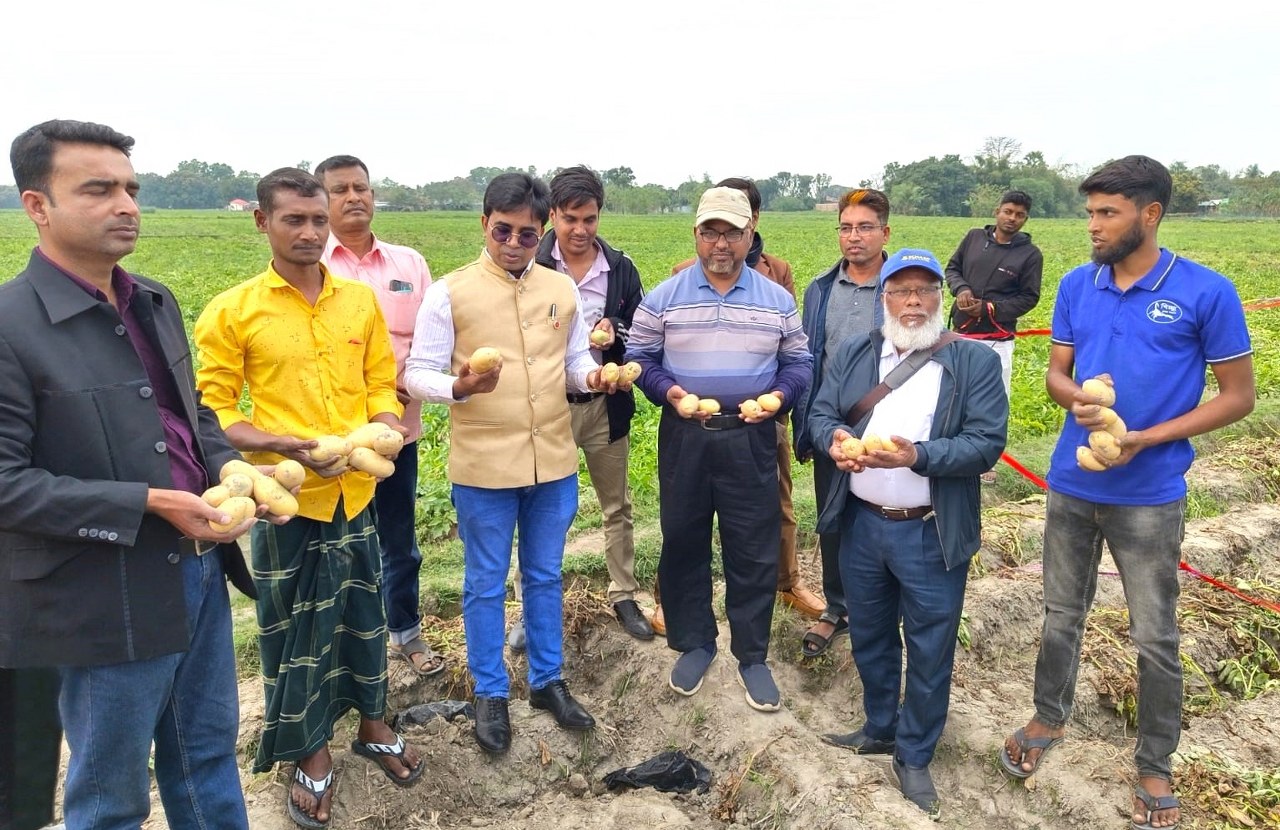 ACI Potato-10 (Valencia) brings revolutionary changes in export-oriented potato production