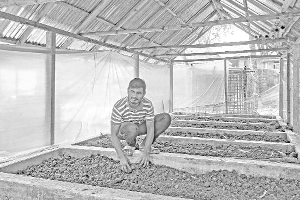 Soil’s best friend: Vermi compost